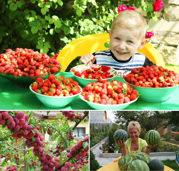 Поздравляем победителей второго этапа конкурса фото