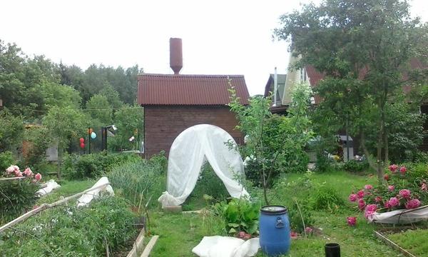 Фото Бабушки На Даче Фото Бабушки На Даче