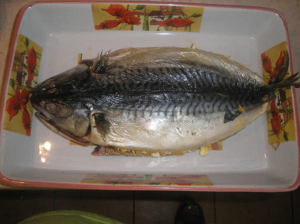 рыба