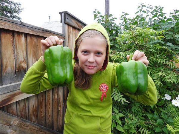 Племянница горда спелым сладким урожаем
