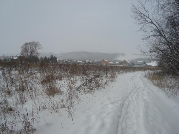 в поле