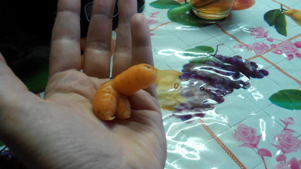 Тоже экземплярчик!