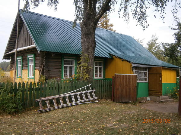 Береза