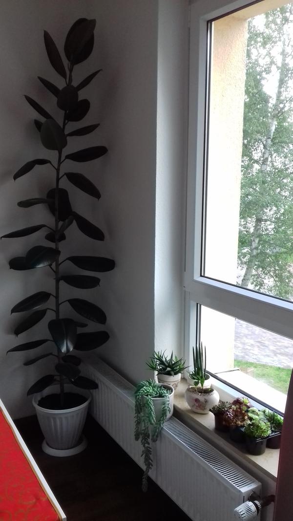 Кухня