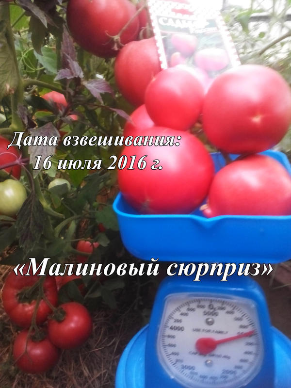 Малиновый сюрприз