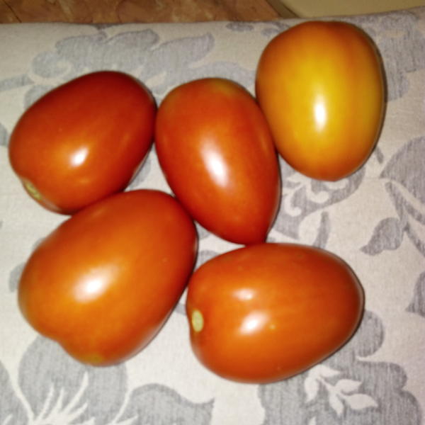 А это Императрица