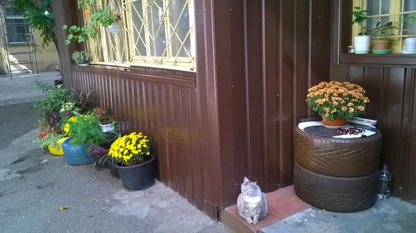 Tak se to stalo ;-)