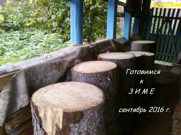 Бревнышки готовы к распиловке.