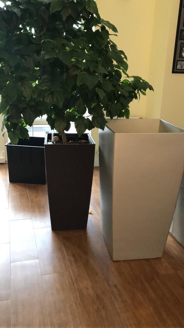 До пересадки