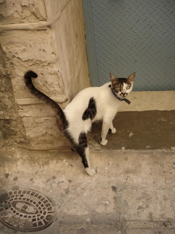 Блииииннн... ключи...