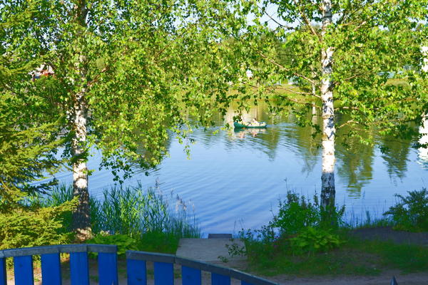 домик в деревне. деревенское окно живопись. березки у крыльца. рябина рядом с домом. деревня осенью.