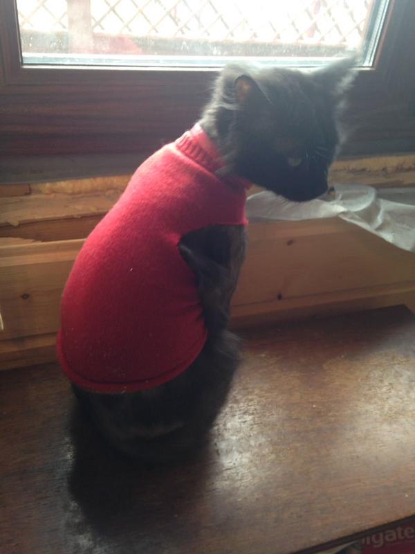 В ожидании весны и тепла.