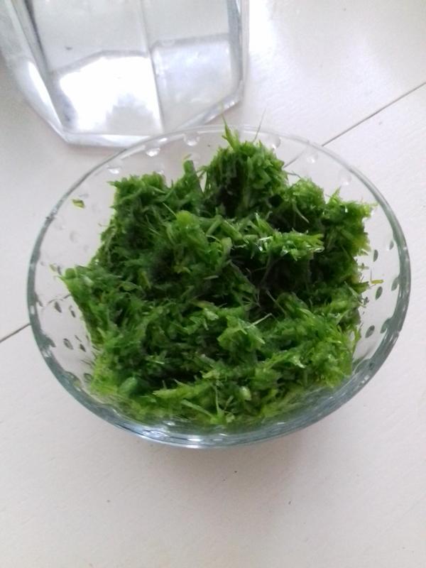 закуска из чесночных стрелок