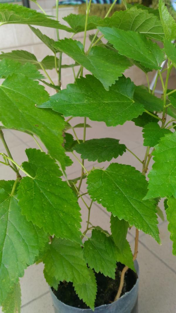 фото3