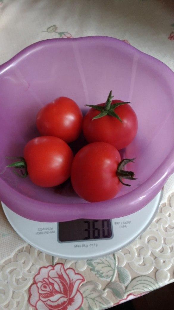 Их вес 360г.