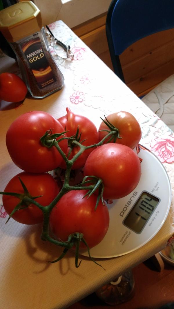 На всякий случай покажу вес. 1кг 104 г.