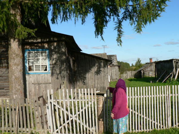Фото лица не стала делать, но поверьте, добрейшее. Старушка рассказывает, как лиственницу сажали. Я лишь часть уловила. За забором 4 кошки.