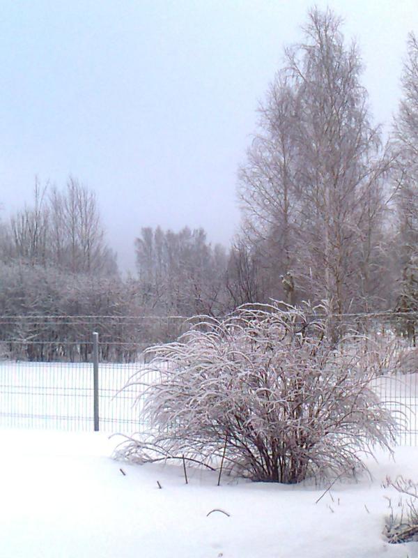 Зимний пейзаж