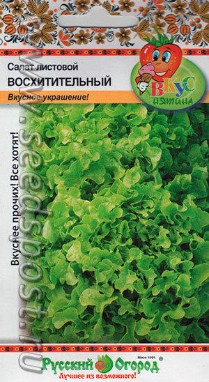 Нежное обрамление ваших любимых блюд...