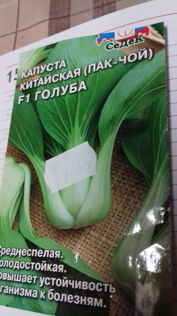 Капуста пак-чой: выращивание, сорта, фото