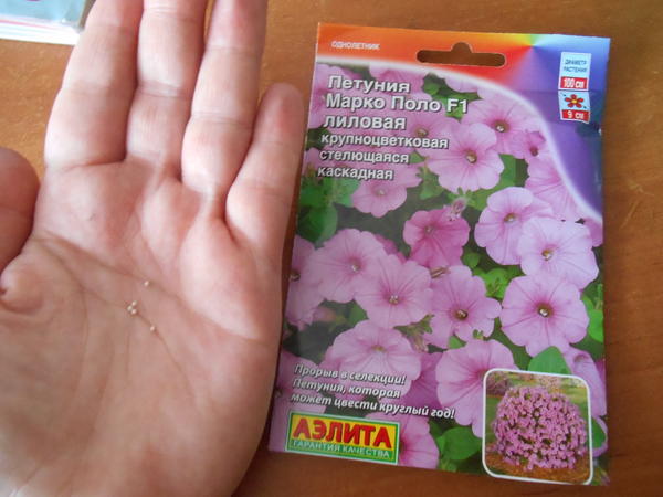 Нужное количество семян высыпаю на ладонь