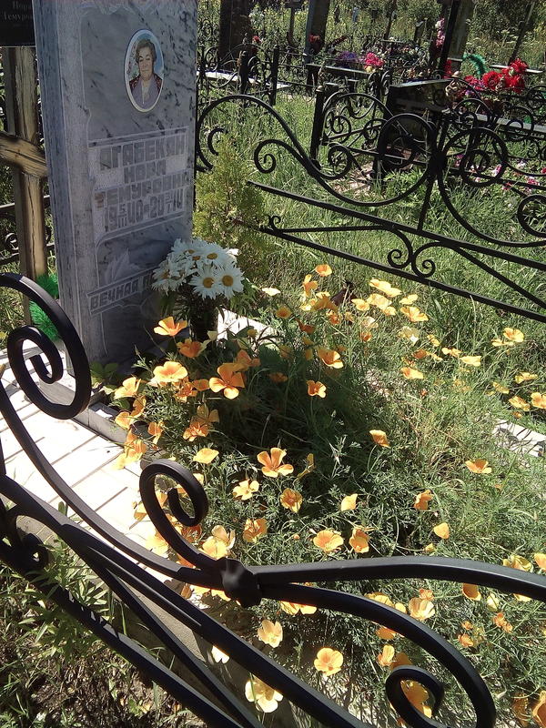 Цветы Посадить На Кладбище Фото