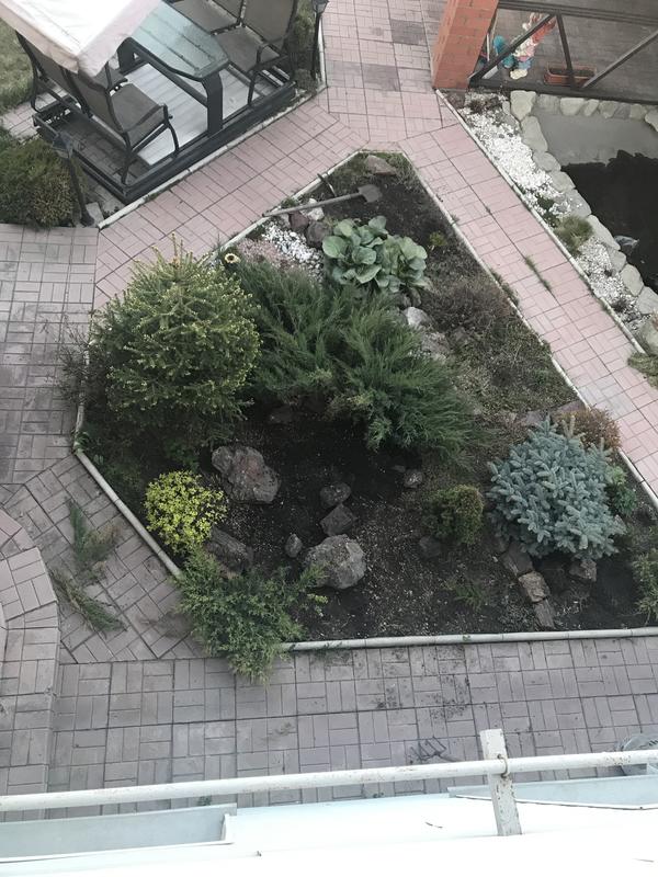 Вид сверху