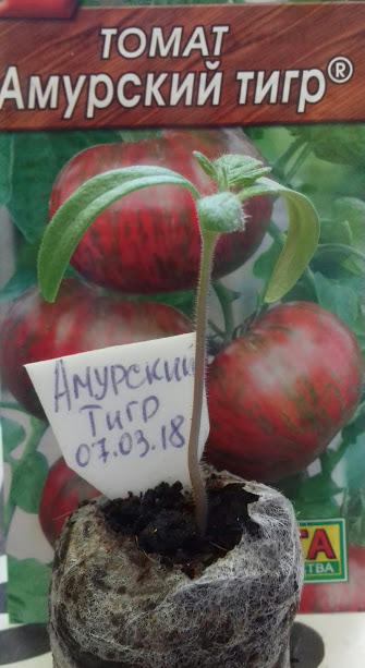 Вот такой красавчик на 20 марта.