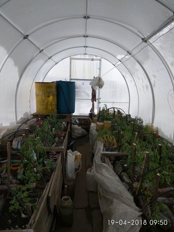 спустя пять дней после высадки "десанта" на постоянное место