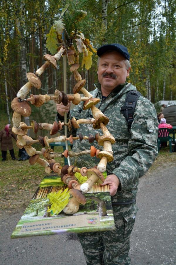 Лесная композиция - ДНК грибного леса.