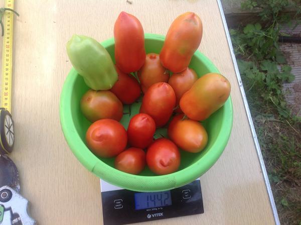 Плоды на весах