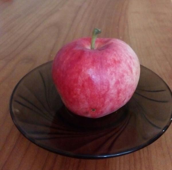 это плод с моей яблони
