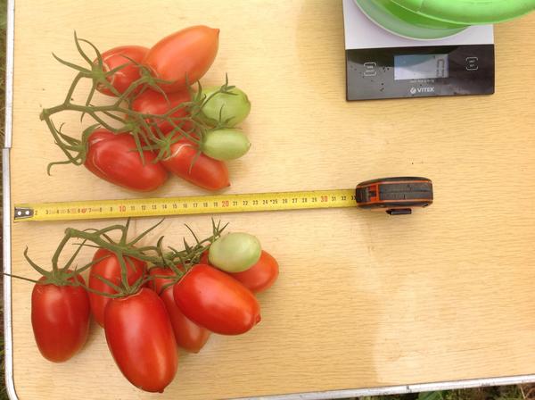 Снятые кисти