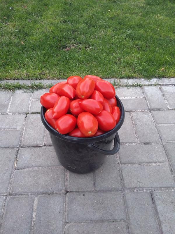 В ведре