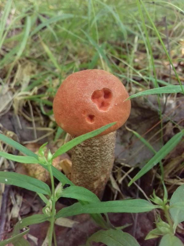 На щёчке родинка, а в глазах любовь))) для тебя:)