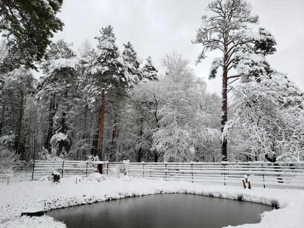 Беларусь дождалась снежок! Теперь собрать волю в кулак и не таять!)))