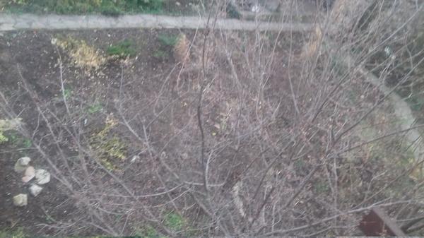 это фото со второго этажа дома сына