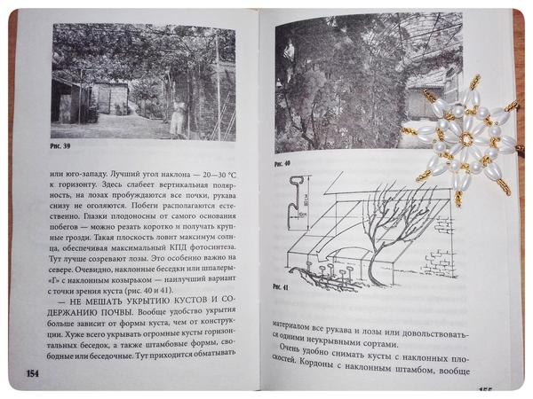 Фото и рисунок.