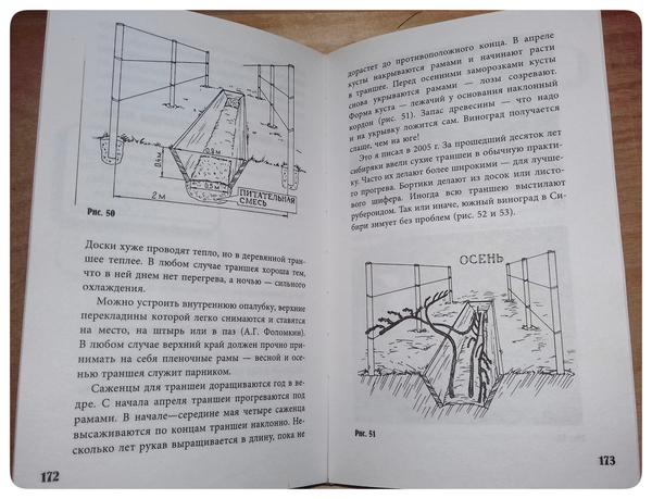 Рисунки.