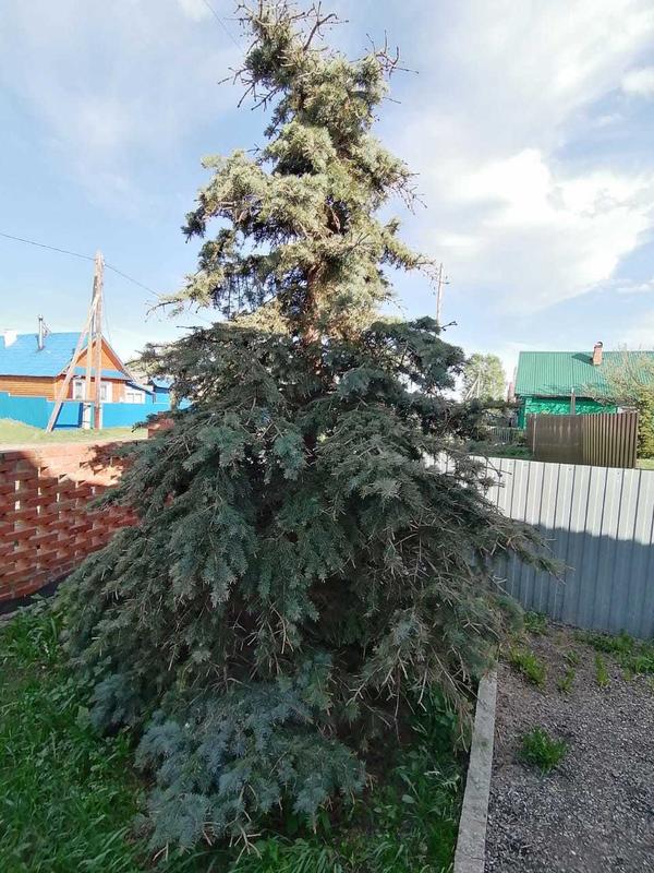 Общий ракурс