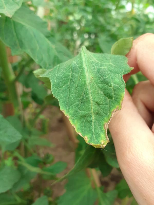 Начинается так