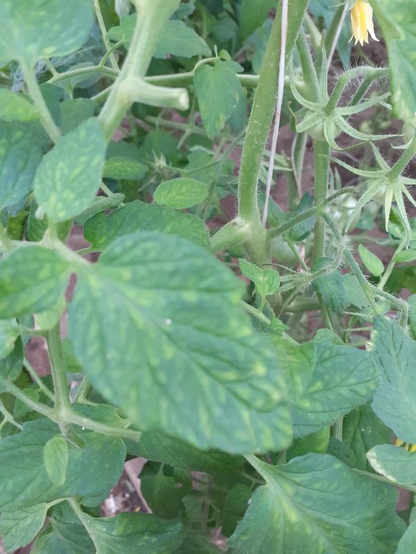 Недостаток питания или...?