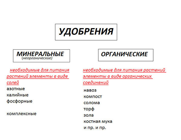 Какие бывают удобрения