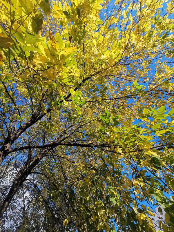 Осень золотая. А завтра уже на 10 градусов меньше. Прогнозируют первый снег.