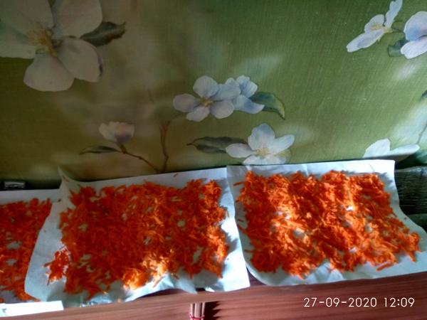 Морковь до сушки