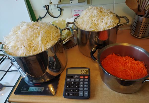 Так квашу капусты я.