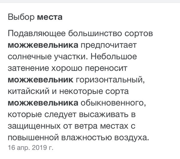 Выбор места для можжевельника