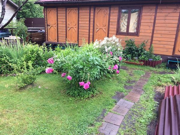 Покрыли пропиткой