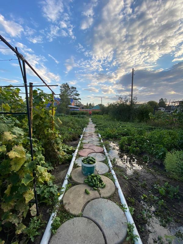 Участок фото со стороны домика.
