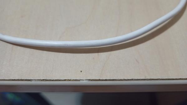 Маленький жук